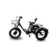 Electric Fat-Tire Trike