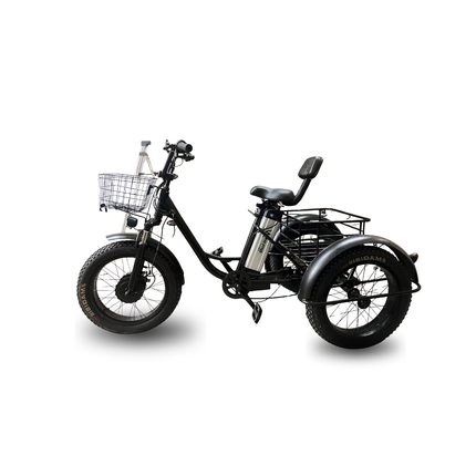 Electric Fat-Tire Trike