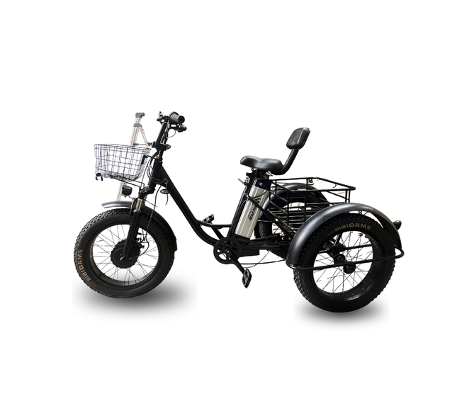 Electric Fat-Tire Trike