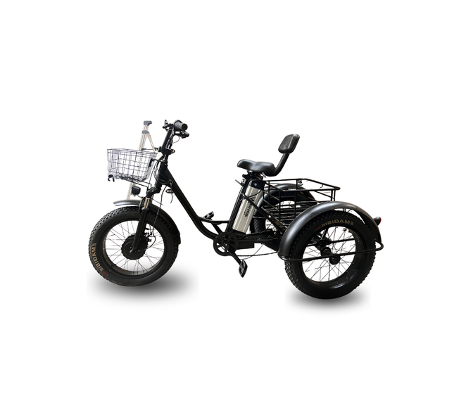 Electric Fat-Tire Trike