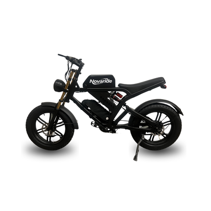 Moped E-bike