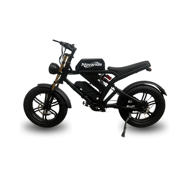 Moped E-bike