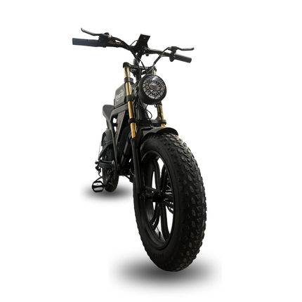 Moped E-bike