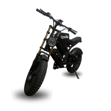 Moped E-bike