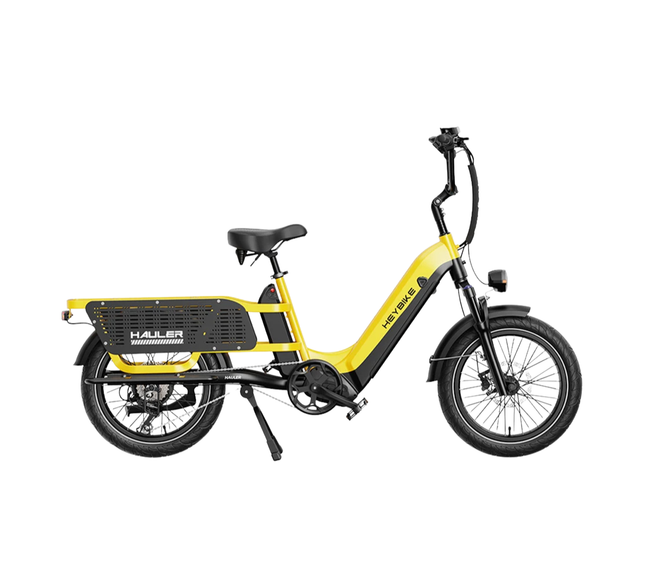 Heybike Hauler - Dual Battery