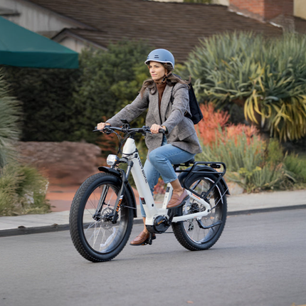 Heybike Alpha 500W Mid-Drive