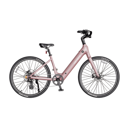 Heybike Venus 750W