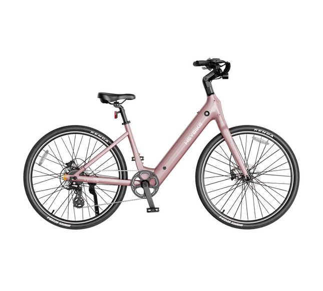 Heybike Venus 750W