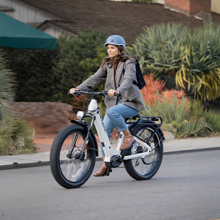 Heybike Alpha 500W Mid-Drive