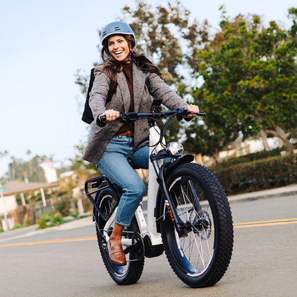 Heybike Alpha 500W Mid-Drive