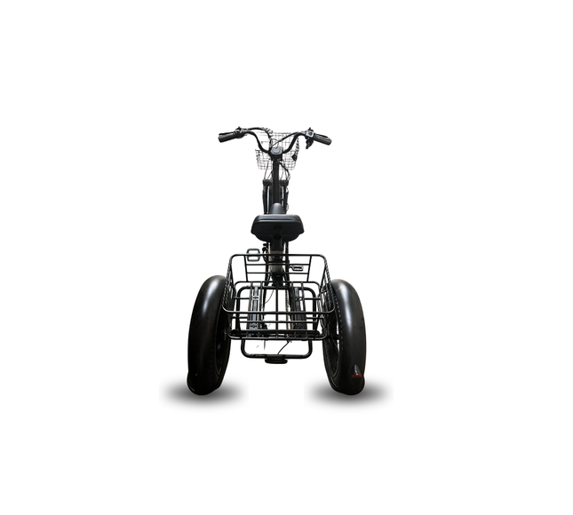 Electric Fat-Tire Trike