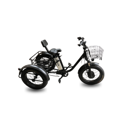 Electric Fat-Tire Trike