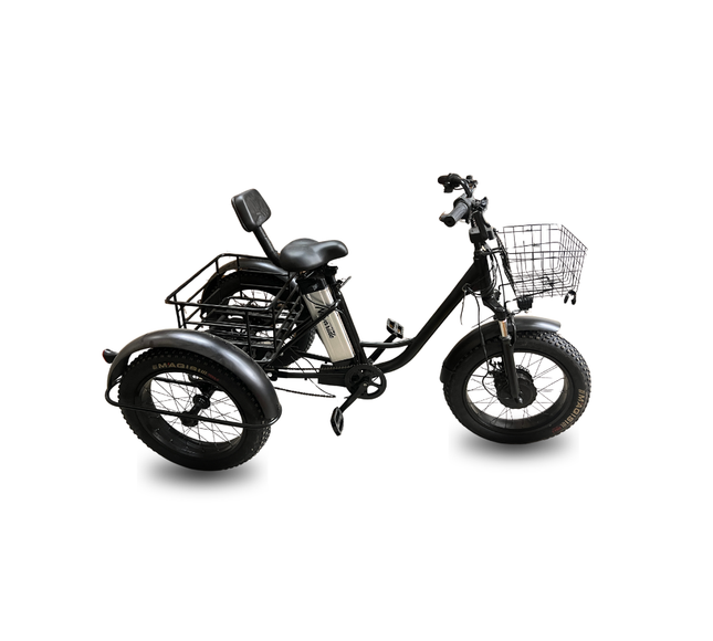 Electric Fat-Tire Trike