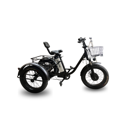 Electric Fat-Tire Trike