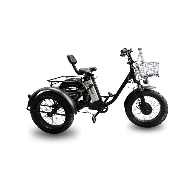 Electric Fat-Tire Trike
