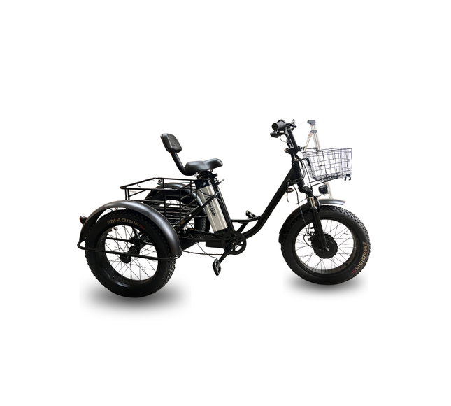 Electric Fat-Tire Trike
