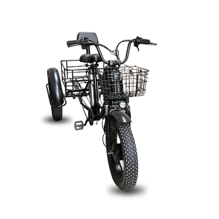 Electric Fat-Tire Trike